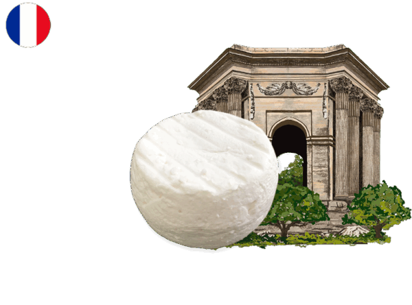 Cabécou du Tarn (Organic)
