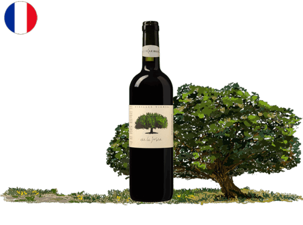 B - Pays d'Oc IGP, Vieilles Vignes, Domaine de la Jasse, 2022
