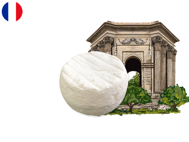 Cabécou_du_Tarn_CCABE01