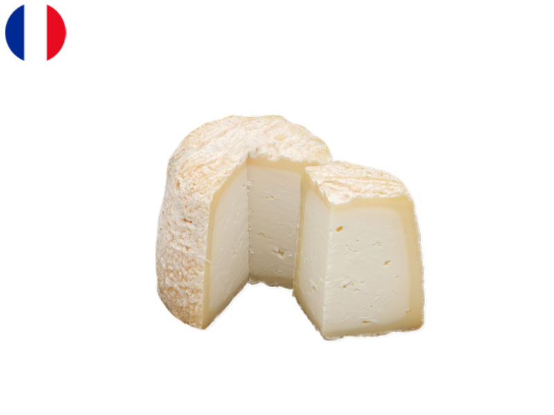 Chabichou_du_Poitou_CCHAB03