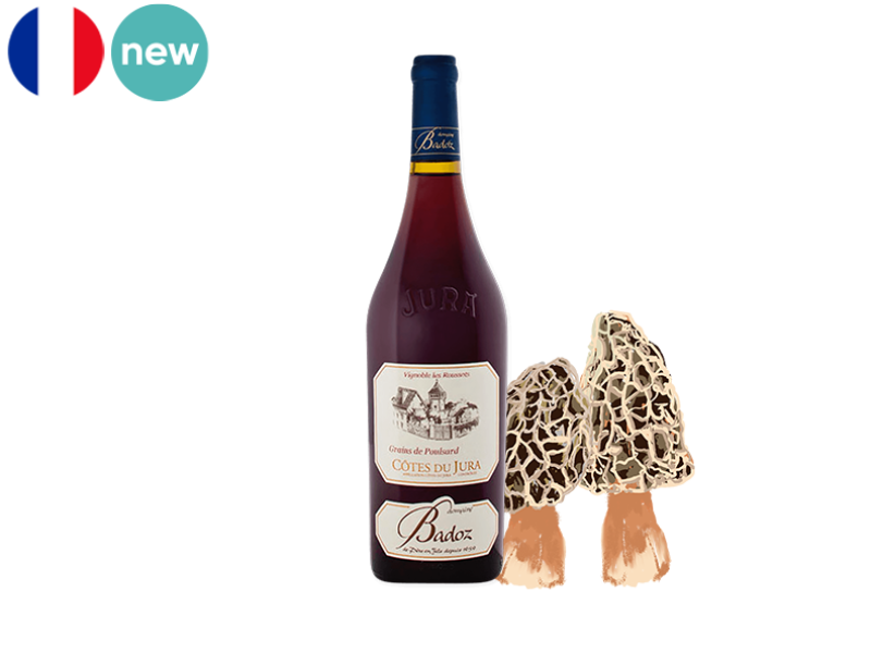 Côtes_du_Jura_AOC_Grains_de_Poulsard_Rubis_Domaine_Badoz_2020_WRED127