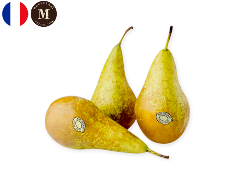 Pear_Conference_France_Mouneyrac_FPEAR23