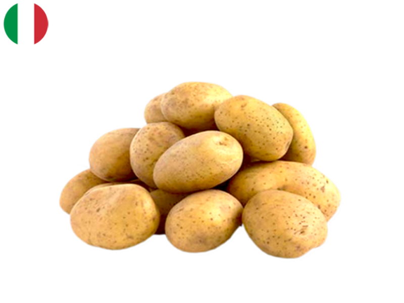 Spunta_Potato_from_Venezia_FPOTA07