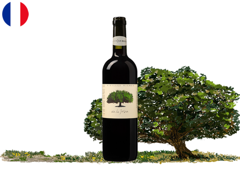 Vieilles_Vignes_Domaine_de_la_Jasse_WREDX123